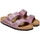Schoenen Dames Sandalen / Open schoenen Birkenstock Arizona BS 1025490 Narrow - Lavender Violet