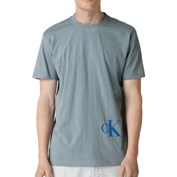 Textiel Heren T-shirts korte mouwen Calvin Klein Jeans  Grijs