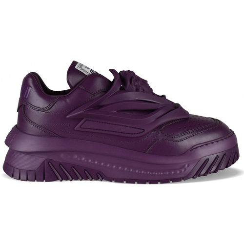 Schoenen Heren Sneakers Versace  Violet