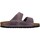 Schoenen Dames Sandalen / Open schoenen Birkenstock 1025490 Violet