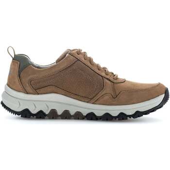 Schoenen Heren Sneakers Pius Gabor 8005.11.03 Bruin