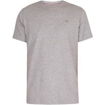 Textiel Heren T-shirts korte mouwen Tommy Jeans Origineel Jersey T-shirt Grijs