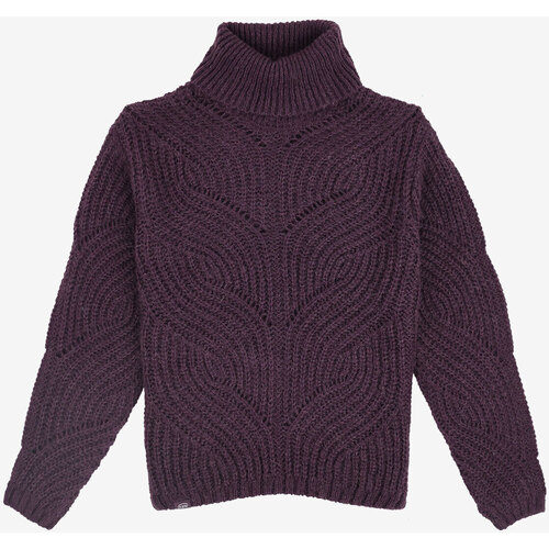 Textiel Dames Truien Oxbow Trui in mohair P2PALLY Violet