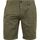 Textiel Heren Broeken / Pantalons Dstrezzed Basic Short Groen Groen