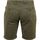 Textiel Heren Broeken / Pantalons Dstrezzed Basic Short Groen Groen