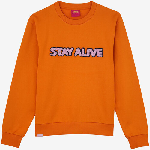 Textiel Dames Sweaters / Sweatshirts Oxbow Sweater met flockprint wording P2SHEEKY Oranje