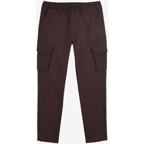 Textiel Heren Broeken / Pantalons Oxbow Wintercargobroek met stretch P2RYNGO Bruin