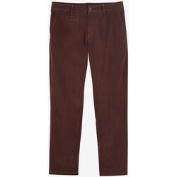 Textiel Heren Broeken / Pantalons Oxbow Effen chinobroek in heel fijn fluweel P2REANOUR Bruin