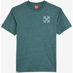 Textiel Heren T-shirts korte mouwen Oxbow T-shirt met korte mouwen en print P2TEROZ Groen