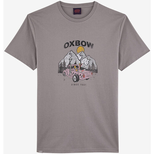 Textiel Heren T-shirts korte mouwen Oxbow T-shirt met korte mouwen en print P2TELEKAR Grijs