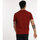 Textiel Heren T-shirts korte mouwen Oxbow T-shirt met korte mouwen en print P2TELEKAR Rood