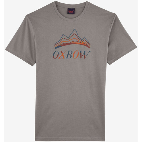 Textiel Heren T-shirts korte mouwen Oxbow T-shirt met korte mouwen en print P2TINUDA Grijs