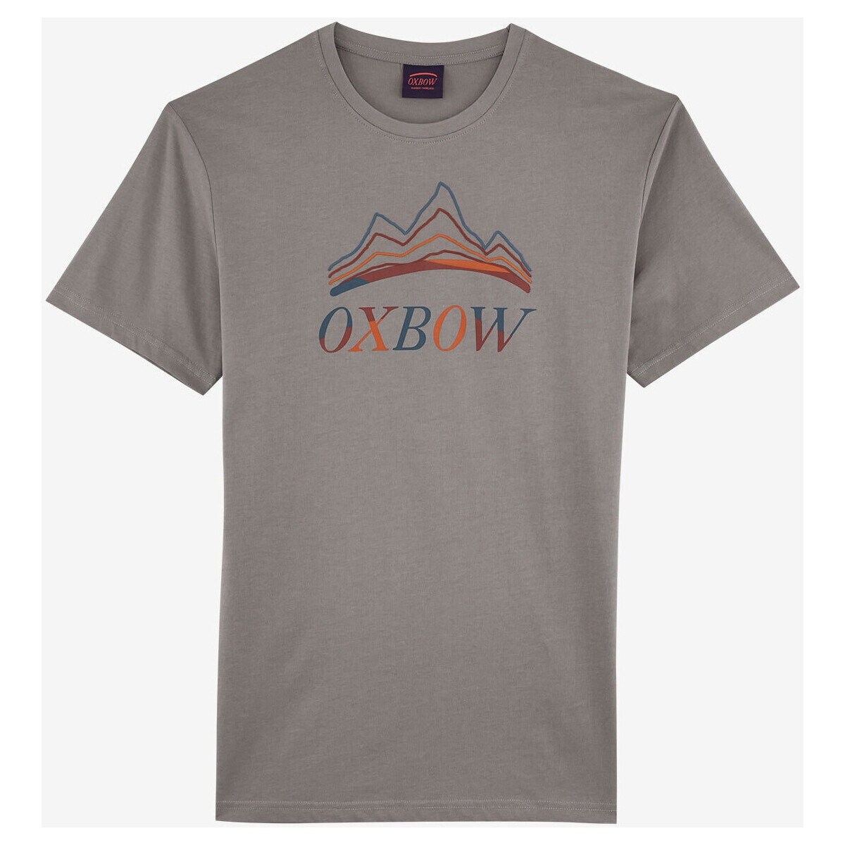 Textiel Heren T-shirts korte mouwen Oxbow T-shirt met korte mouwen en print P2TINUDA Grijs