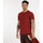 Textiel Heren T-shirts korte mouwen Oxbow T-shirt met korte mouwen en print P2THONY Rood