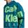 Textiel Jongens Sweaters / Sweatshirts Calvin Klein Jeans  Groen