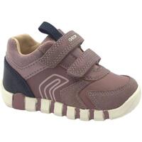 Schoenen Kinderen Lage sneakers Geox GEO-I23-B3558C-RN Roze