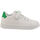 Schoenen Heren Sneakers Shone 001-002 White/Green Wit