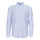 Textiel Heren Overhemden lange mouwen Gant REG POPLIN STRIPE SHIRT Wit / Blauw