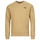 Textiel Heren Sweaters / Sweatshirts The North Face RAGLAN REDBOX Camel