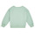 Textiel Meisjes Sweaters / Sweatshirts Petit Bateau MORGANE Groen