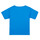 Textiel Jongens T-shirts korte mouwen Puma TEAMRISE MATCH DAY Blauw