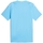 Textiel Heren T-shirts & Polo’s Puma MCFC HOME JSY REP Blauw