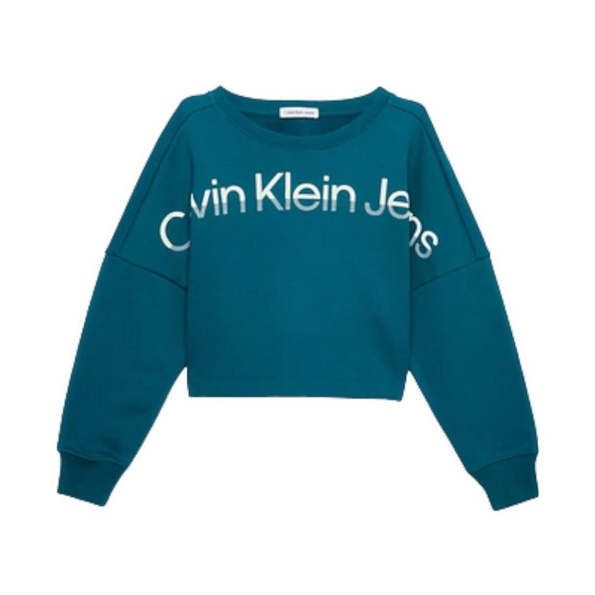 Textiel Meisjes Sweaters / Sweatshirts Calvin Klein Jeans  Groen