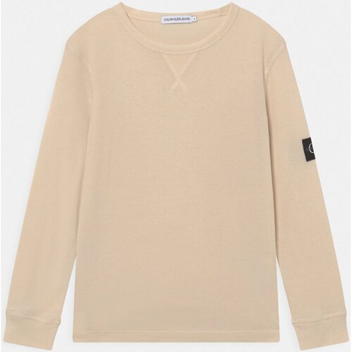 Textiel Heren Sweaters / Sweatshirts Calvin Klein Jeans J30J323426 Beige