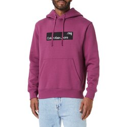 Textiel Heren Sweaters / Sweatshirts Calvin Klein Jeans J30J324106 Violet