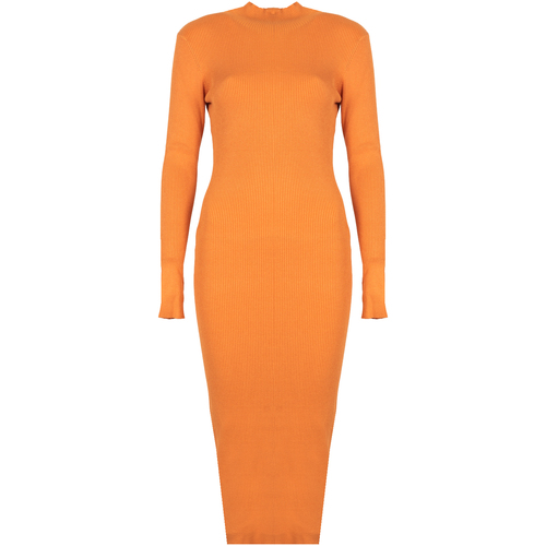 Textiel Dames Korte jurken Silvian Heach PGA22208VE Oranje