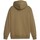 Textiel Heren Sweaters / Sweatshirts Puma Fd Cla Slogo Hdy Fl Bruin