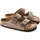 Schoenen Heren Sandalen / Open schoenen Birkenstock Arizona BS Bruin