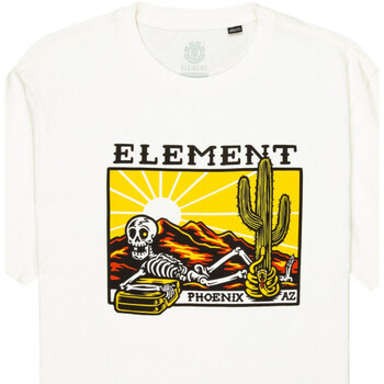 Textiel Heren T-shirts & Polo’s Element Dusk ss Wit