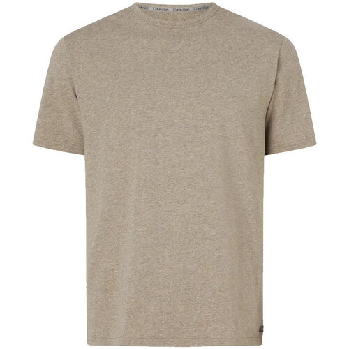 Textiel Heren T-shirts korte mouwen Calvin Klein Jeans  Bruin