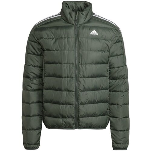Textiel Heren Wind jackets Adidas Sportswear  Groen