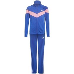 Textiel Jongens Trainingspakken Adidas Sportswear  Blauw