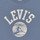 Textiel Jongens T-shirts korte mouwen Levi's SURFS UP TEE Blauw