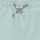 Textiel Jongens Korte broeken / Bermuda's Levi's LVB PULL ON WOVEN SHORT Blauw