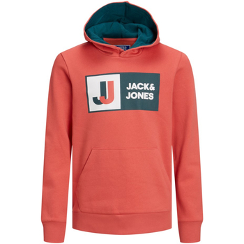 Textiel Jongens Sweaters / Sweatshirts Jack & Jones 12216954 JCOLOGAN SWEAT  HOOD AW22 SN JNR BLUE LOLITE Blauw