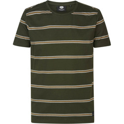 Textiel Heren T-shirts & Polo’s Petrol Industries T-Shirt Rugby Gestreept Donkergroen Groen