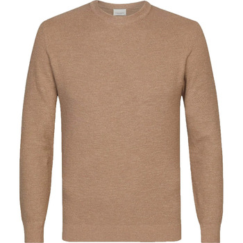 Textiel Heren Sweaters / Sweatshirts Profuomo Trui Structuur Beige Beige
