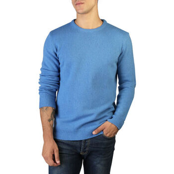 Textiel Heren Truien 100% Cashmere Jersey Blauw