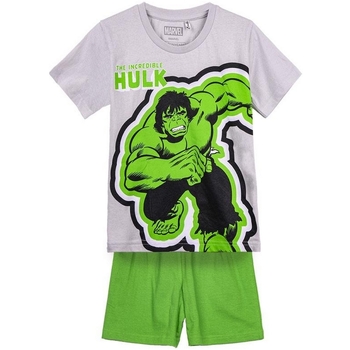 Textiel Jongens Pyjama's / nachthemden Hulk 2900001331B Grijs