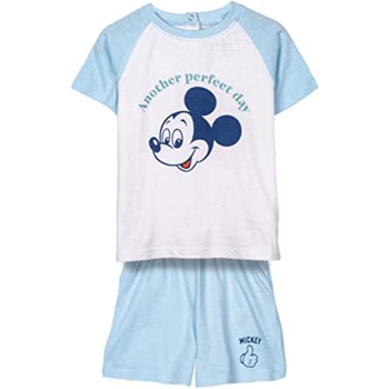 Textiel Kinderen Pyjama's / nachthemden Disney 2900001164 Blauw