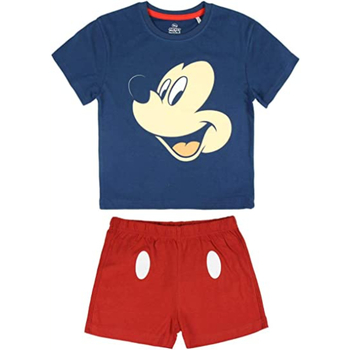 Textiel Jongens Pyjama's / nachthemden Disney 2200003457 Blauw