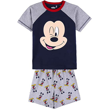 Textiel Jongens Pyjama's / nachthemden Disney 2200008873 Grijs
