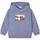 Textiel Jongens Sweaters / Sweatshirts Mayoral  Violet