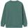 Textiel Jongens Sweaters / Sweatshirts Mayoral  Groen