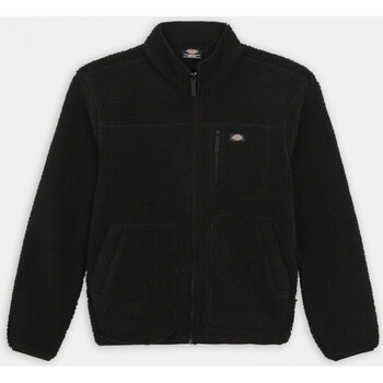 Textiel Heren Sweaters / Sweatshirts Dickies Mount hope fleece Zwart