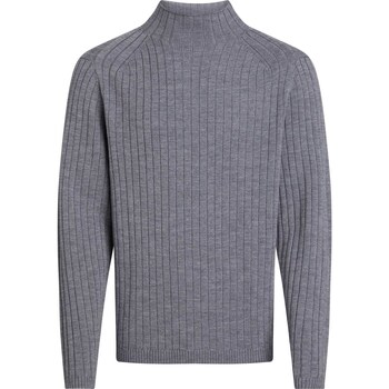 Textiel Heren Sweaters / Sweatshirts Calvin Klein Jeans Merino Rib Mock Neck Grijs